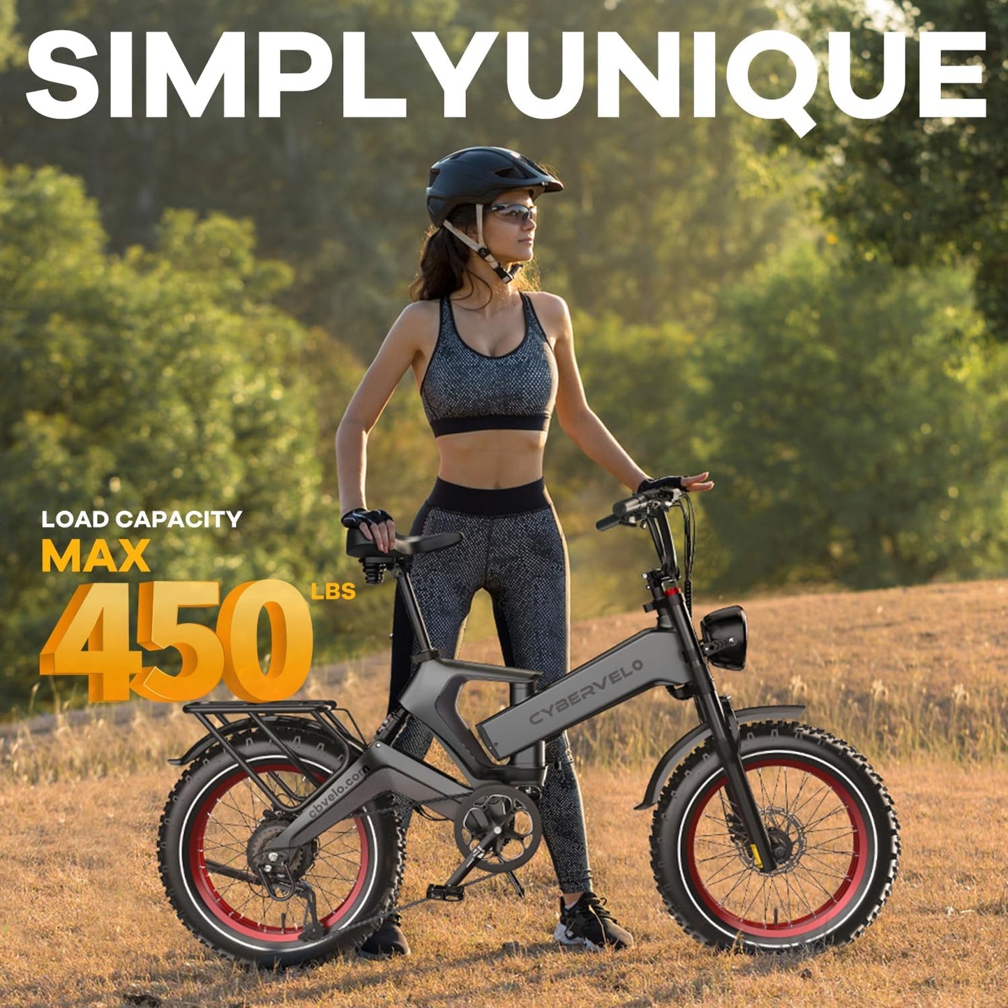 Foldable Electric Bike